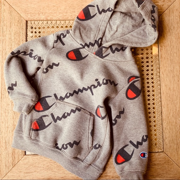 champion toddler hoodie